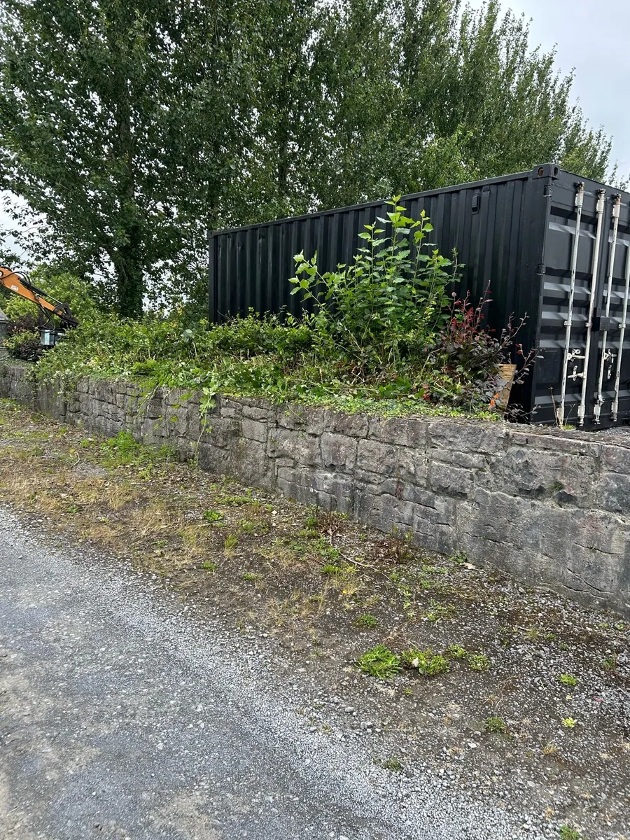 Hedge cutting galway - Image 1