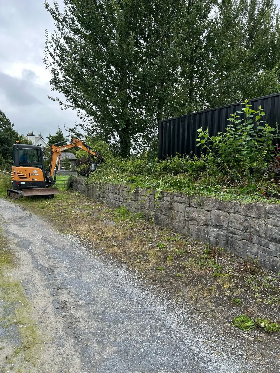 Hedge cutting galway - Image 2