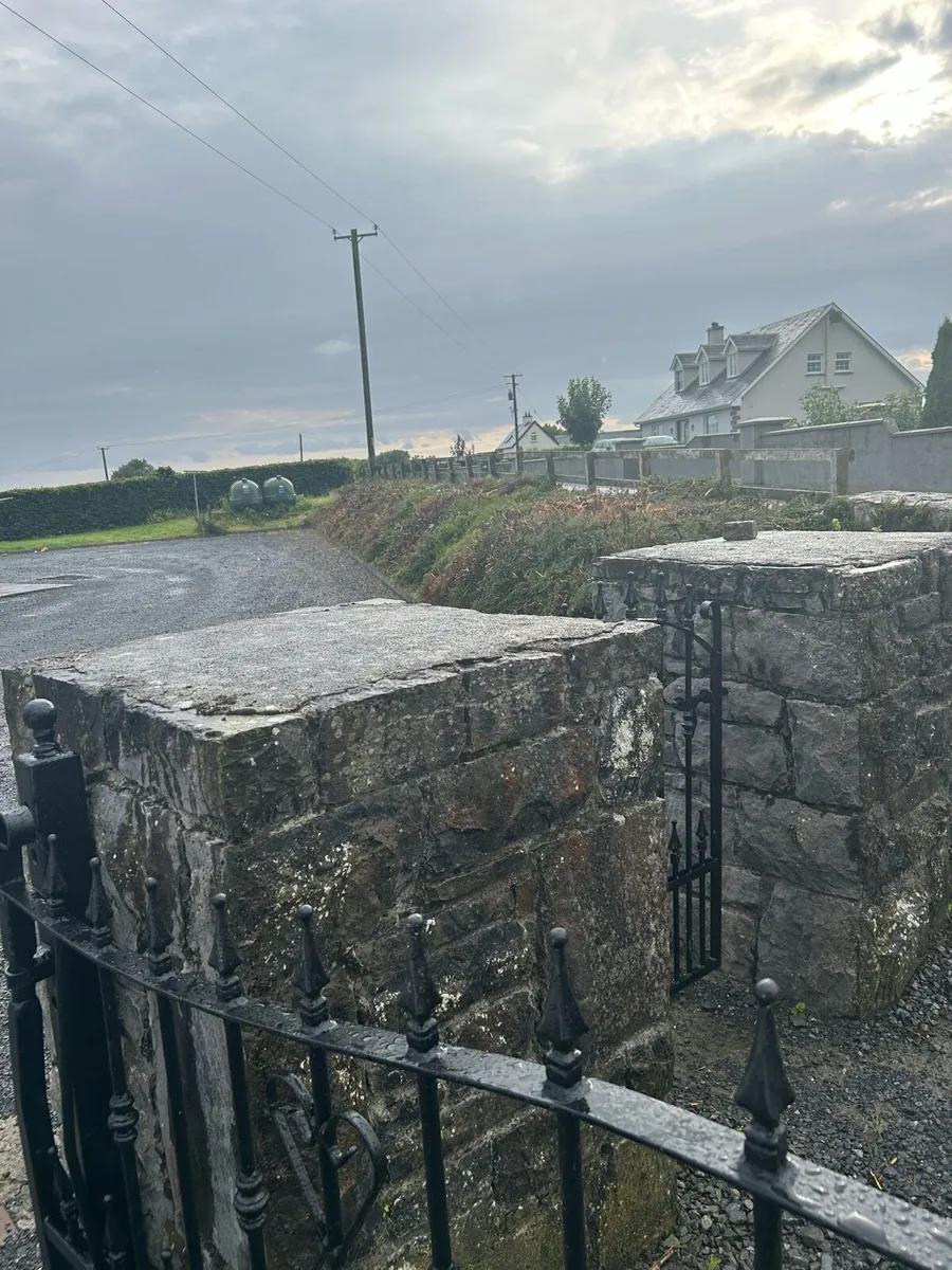 Hedge cutting galway - Image 4