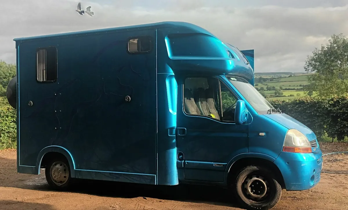 Horse Van for sale - Image 1