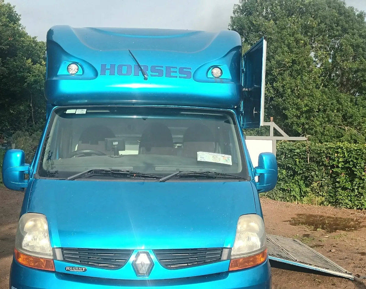 Horse Van for sale - Image 2
