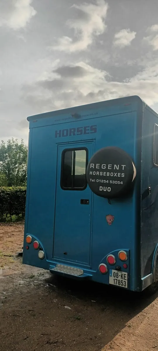 Horse Van for sale - Image 3