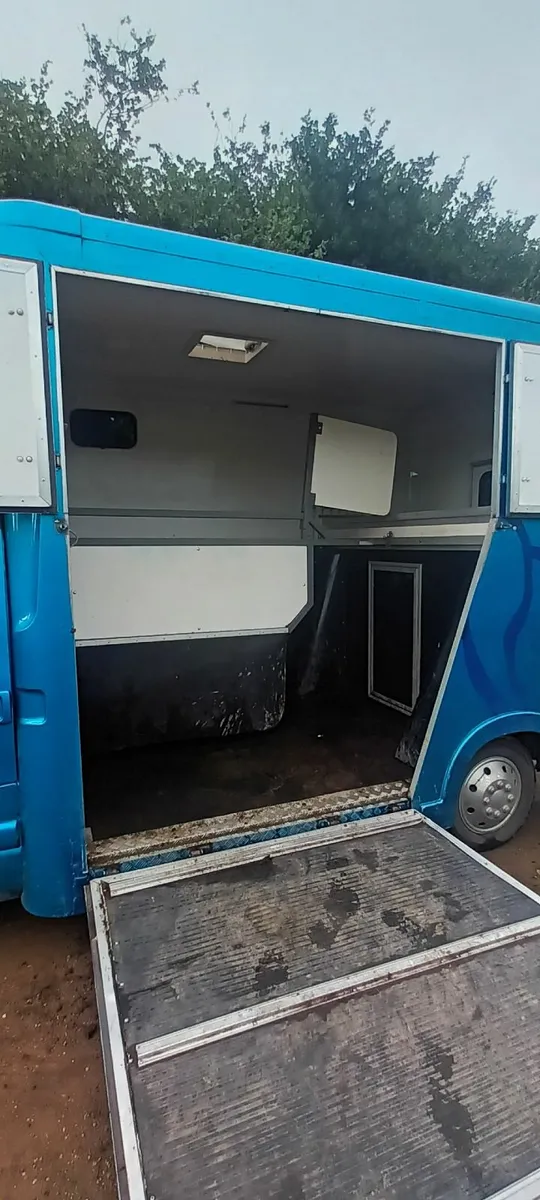 Horse Van for sale - Image 4
