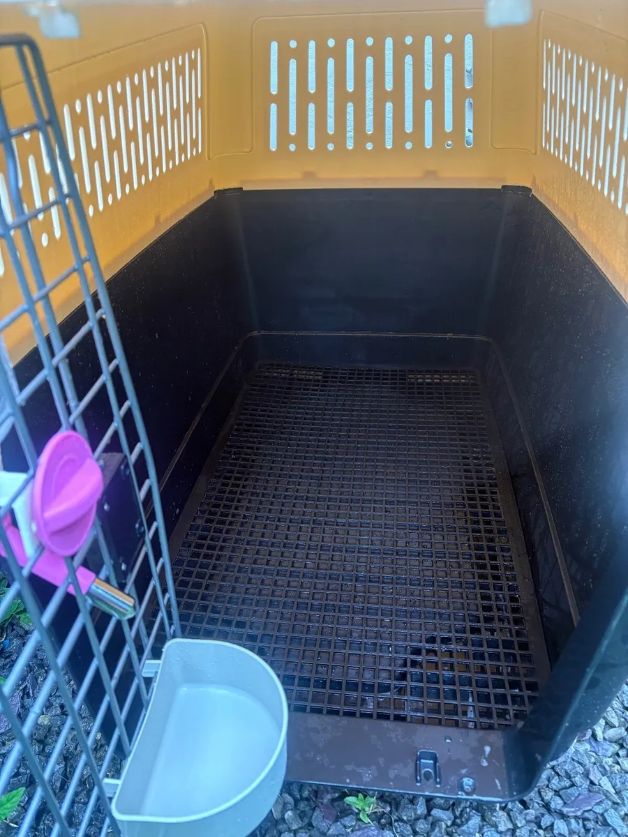 Professional/International Dog Travel Boxes x 2 - Image 3