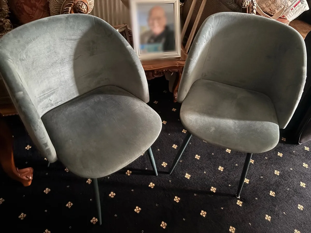 Excellent condition chairs x2 suede - Image 1