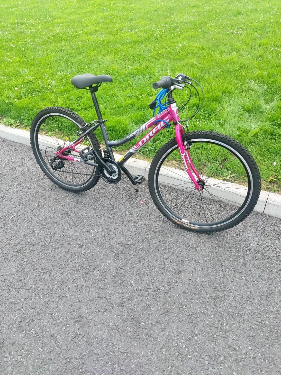 Bike - Image 1