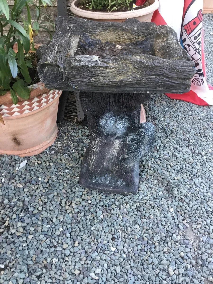 Bird Bath - Image 1