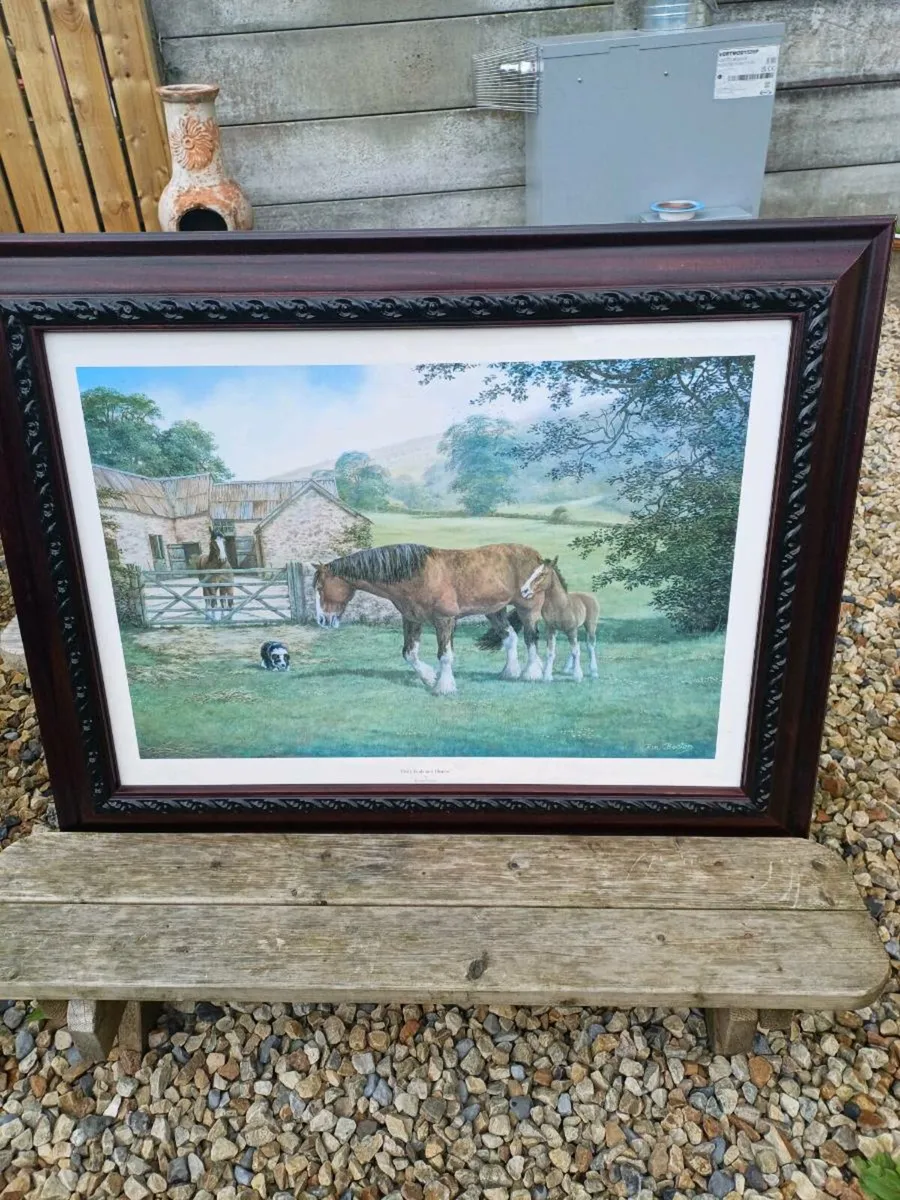 Large Vintage Equestrian Picture - Image 3