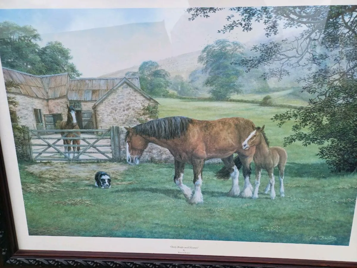Large Vintage Equestrian Picture - Image 4