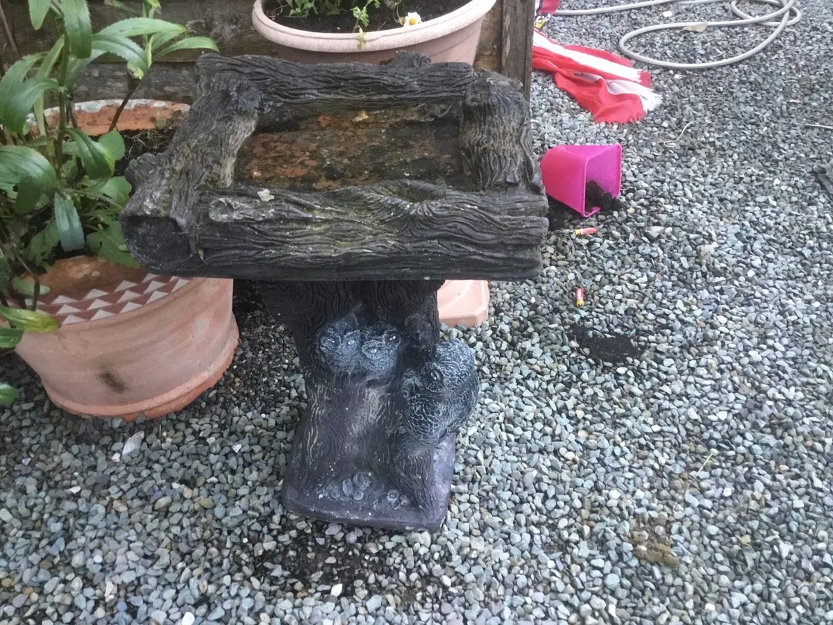 Bird Bath - Image 4