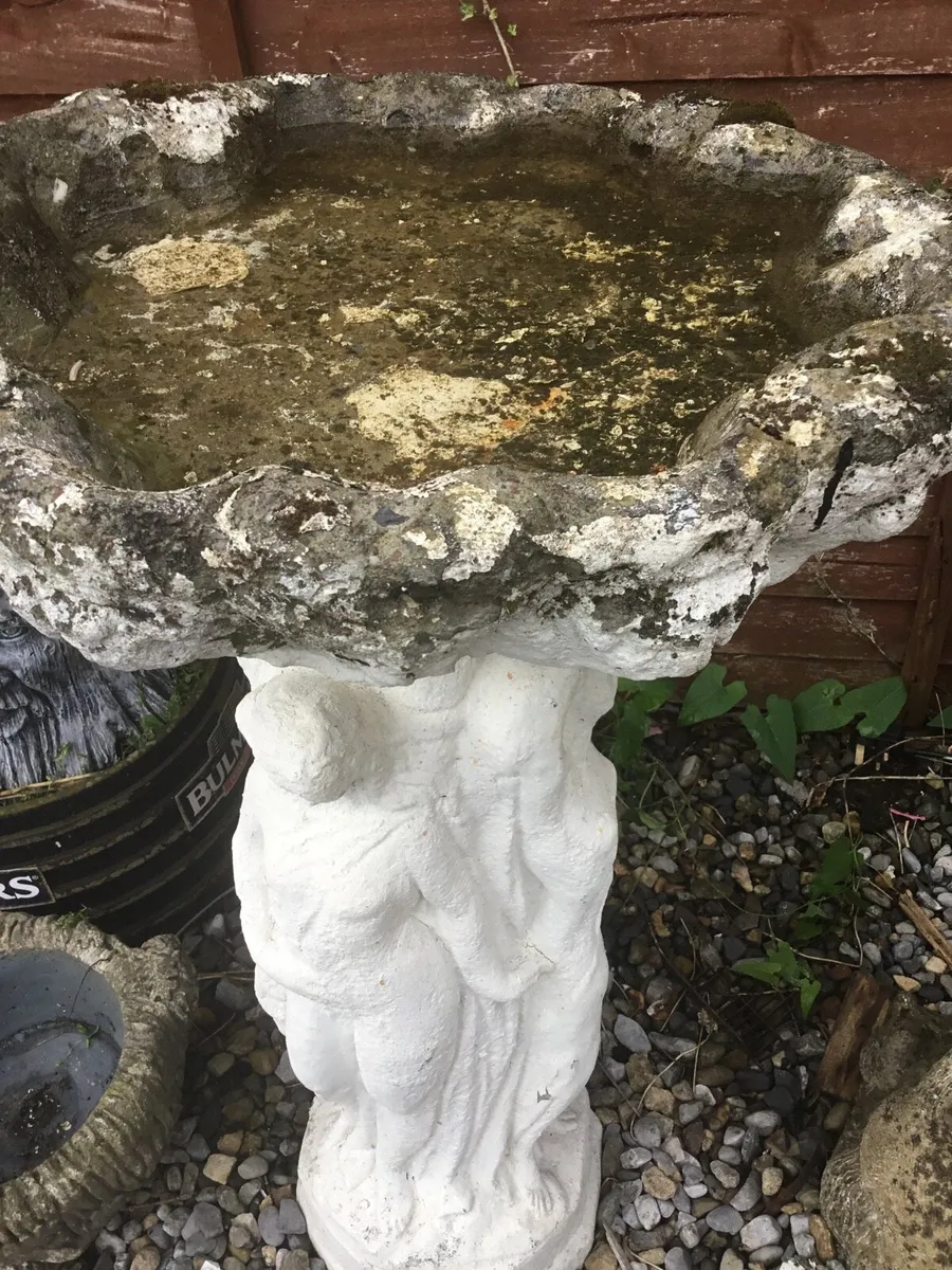 Bird bath - Image 1