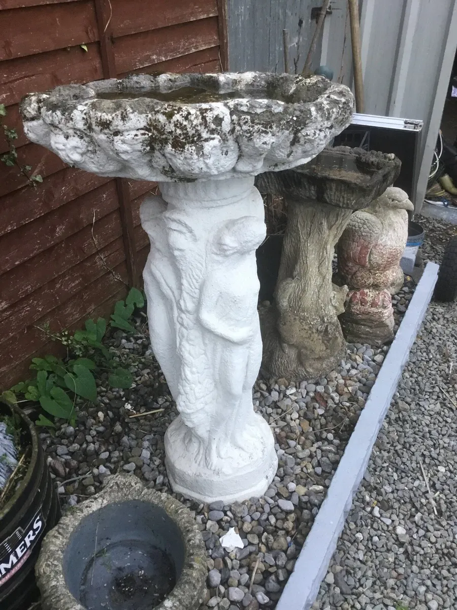 Bird bath - Image 4