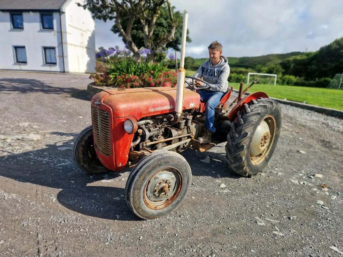 Massey ferguson - Image 2