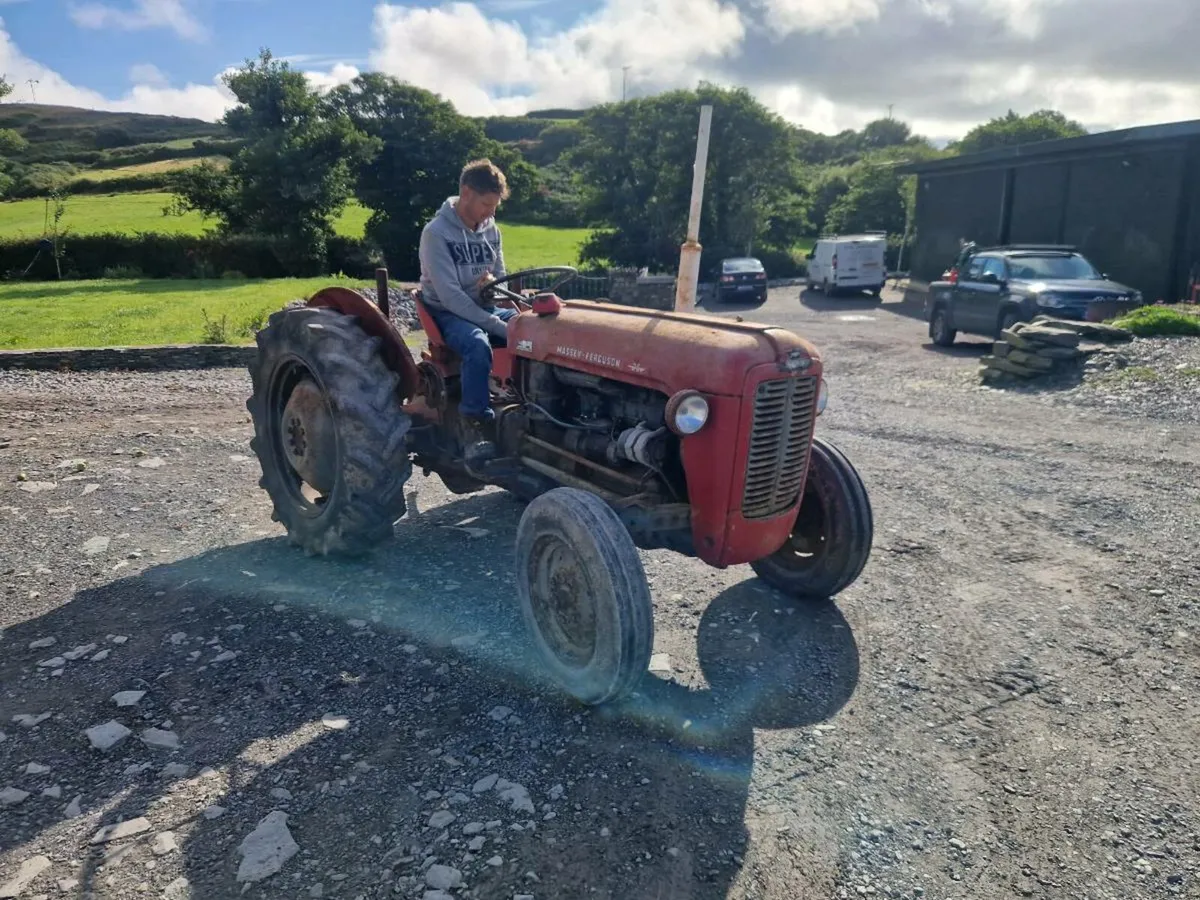 Massey ferguson - Image 3