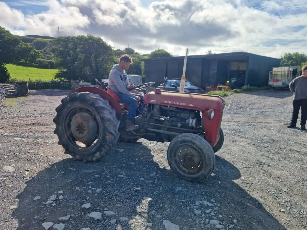 Massey ferguson - Image 4
