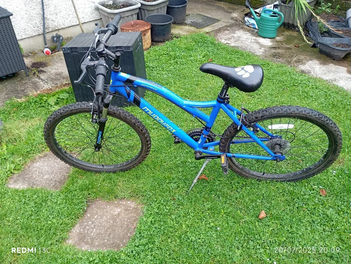 Muddy fox bike- reduced - Image 4