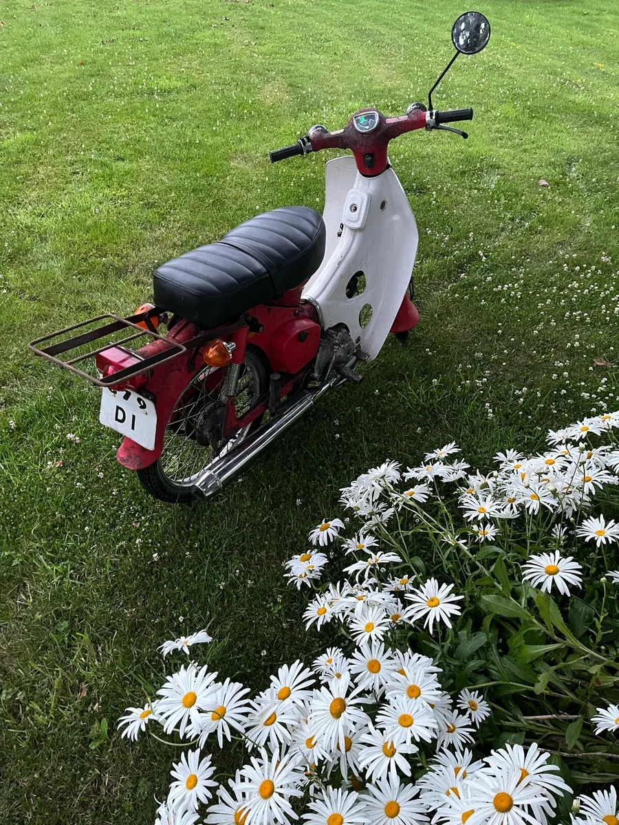 Honda 50 - Image 2