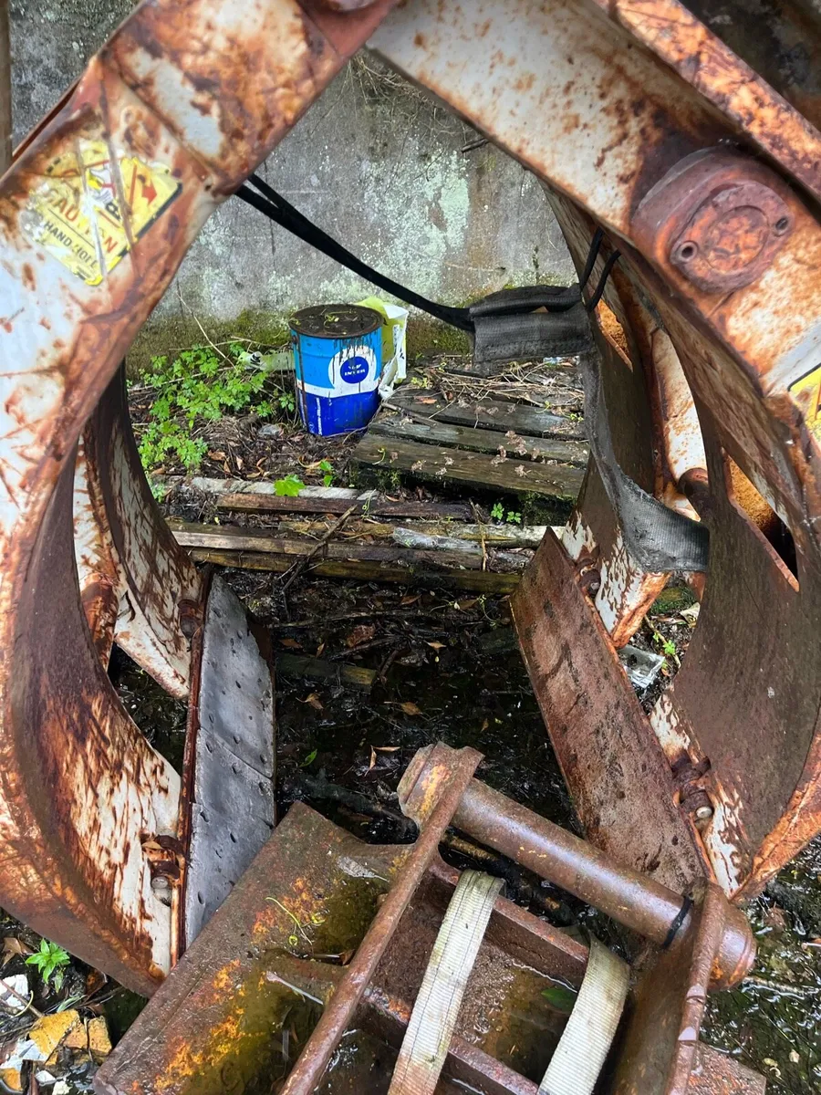 Yard clearance - Image 4