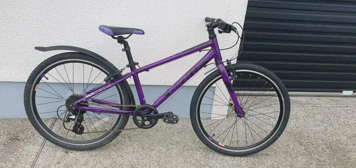 Frog Bicycle - Image 1