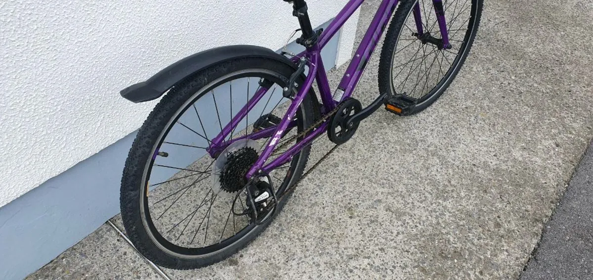 Frog Bicycle - Image 2