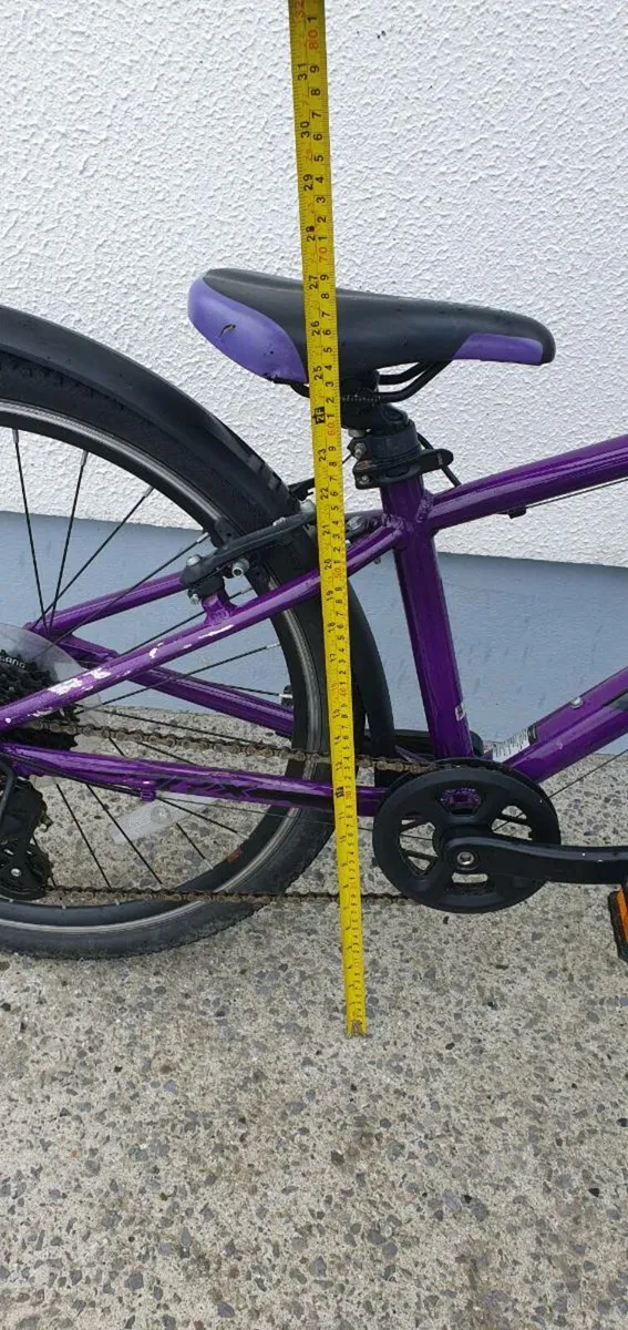 Frog Bicycle - Image 3