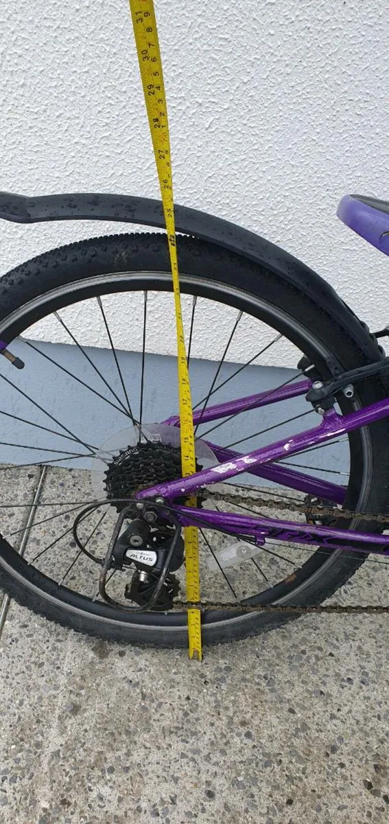 Frog Bicycle - Image 4