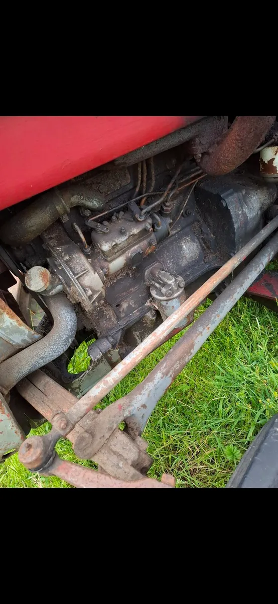 MF 135 - Image 3