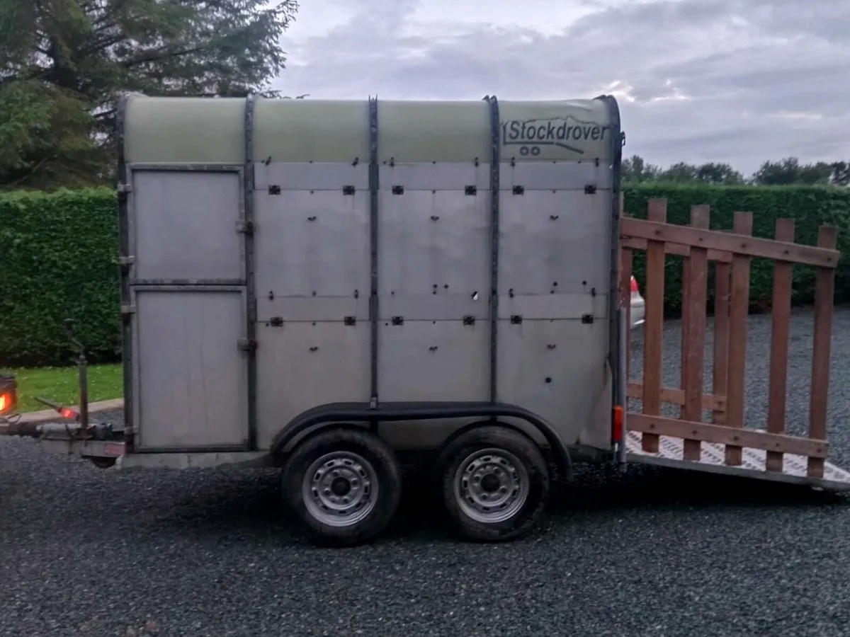 CATTLE TRAILER - Image 1