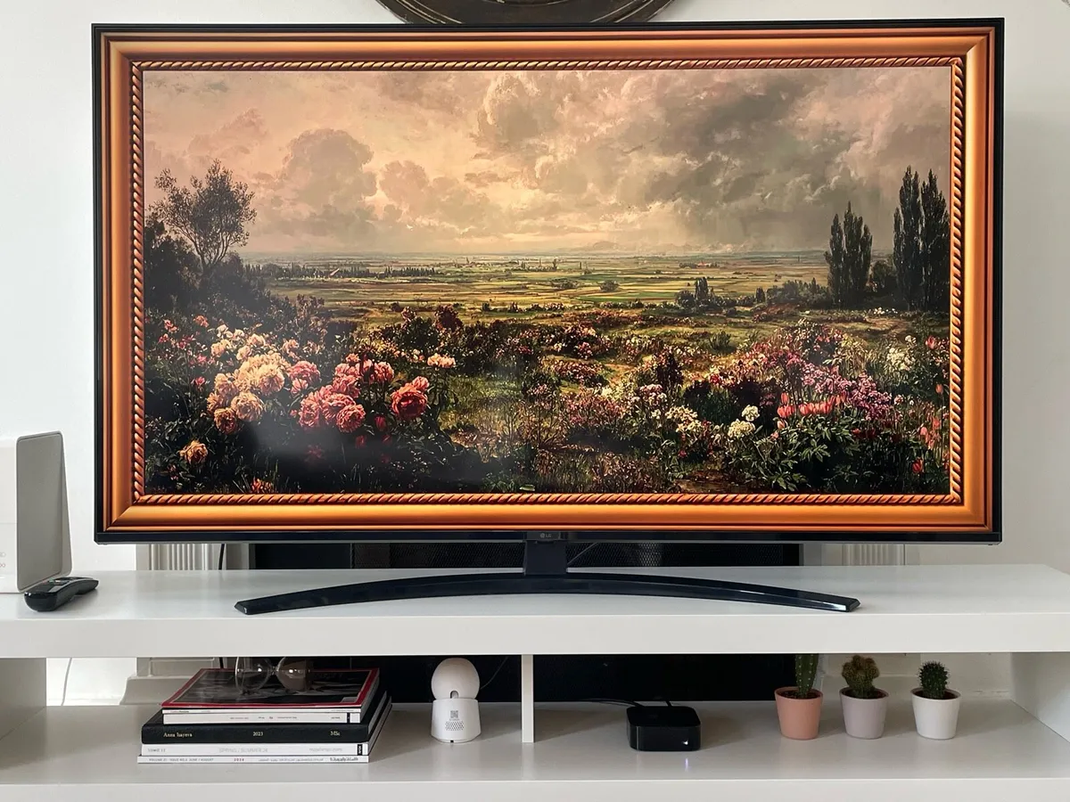 TV - Image 1