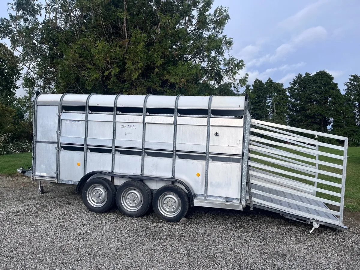 Ifor Williams Cattlebox. - Image 3