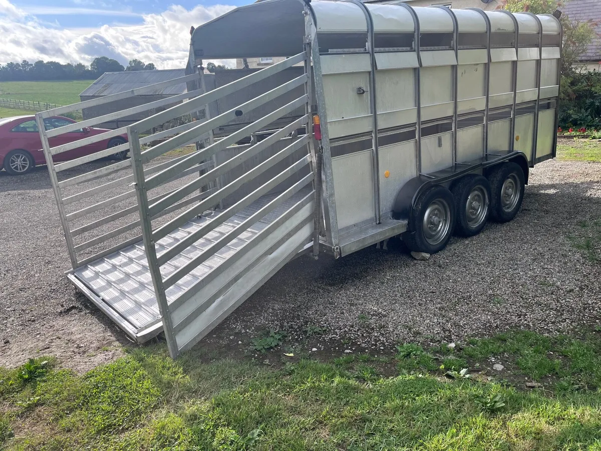 Ifor Williams Cattlebox. - Image 4