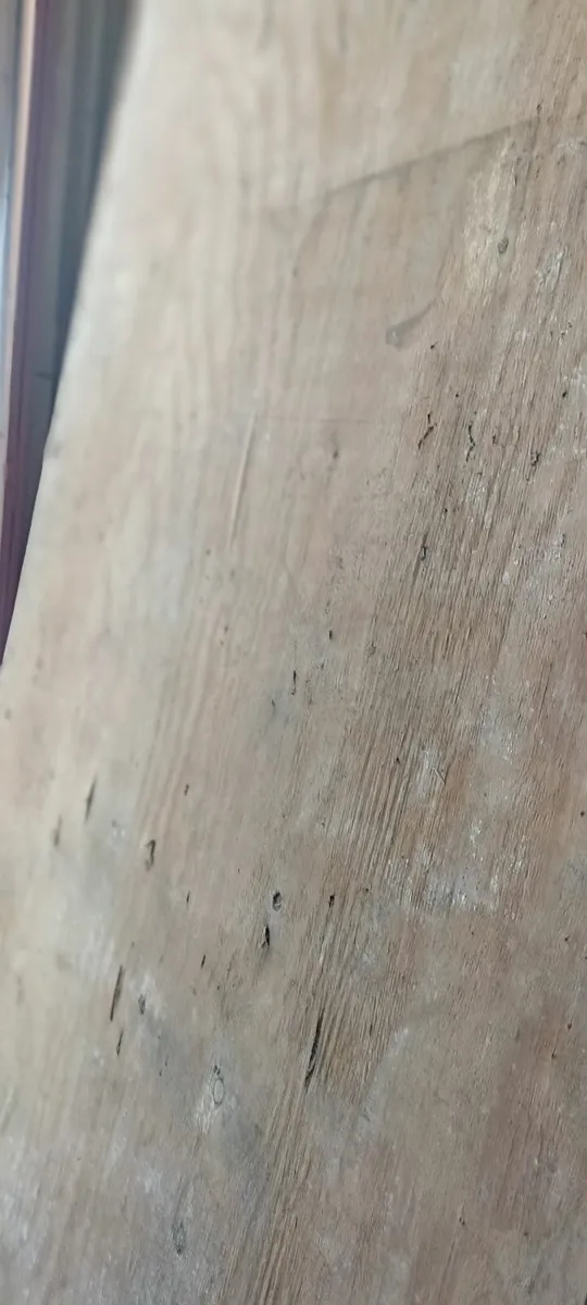 18mm Plywood - Image 3