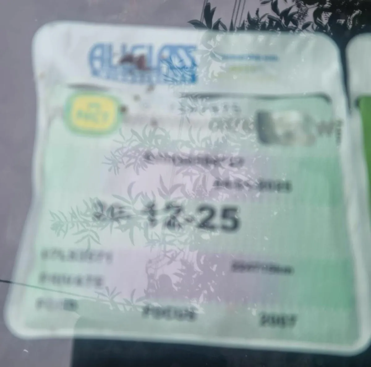 Ford Focus 2007 - Image 1