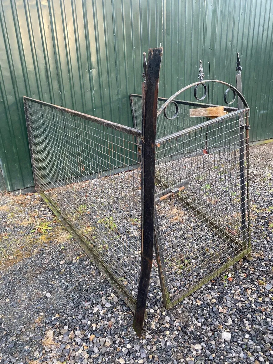 Dog pen - Image 1