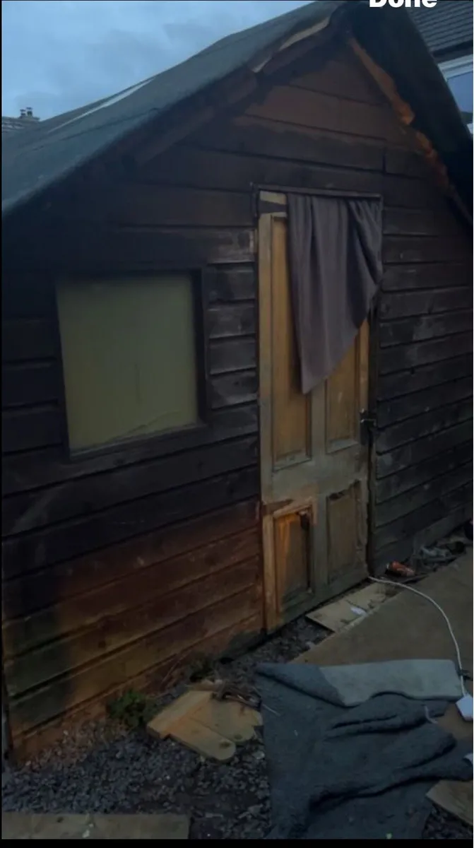 Shed free to take away today - Image 3