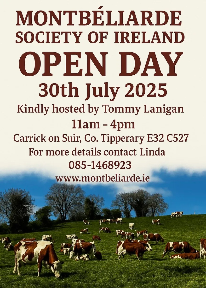 Montbeliarde Open Day - Image 1