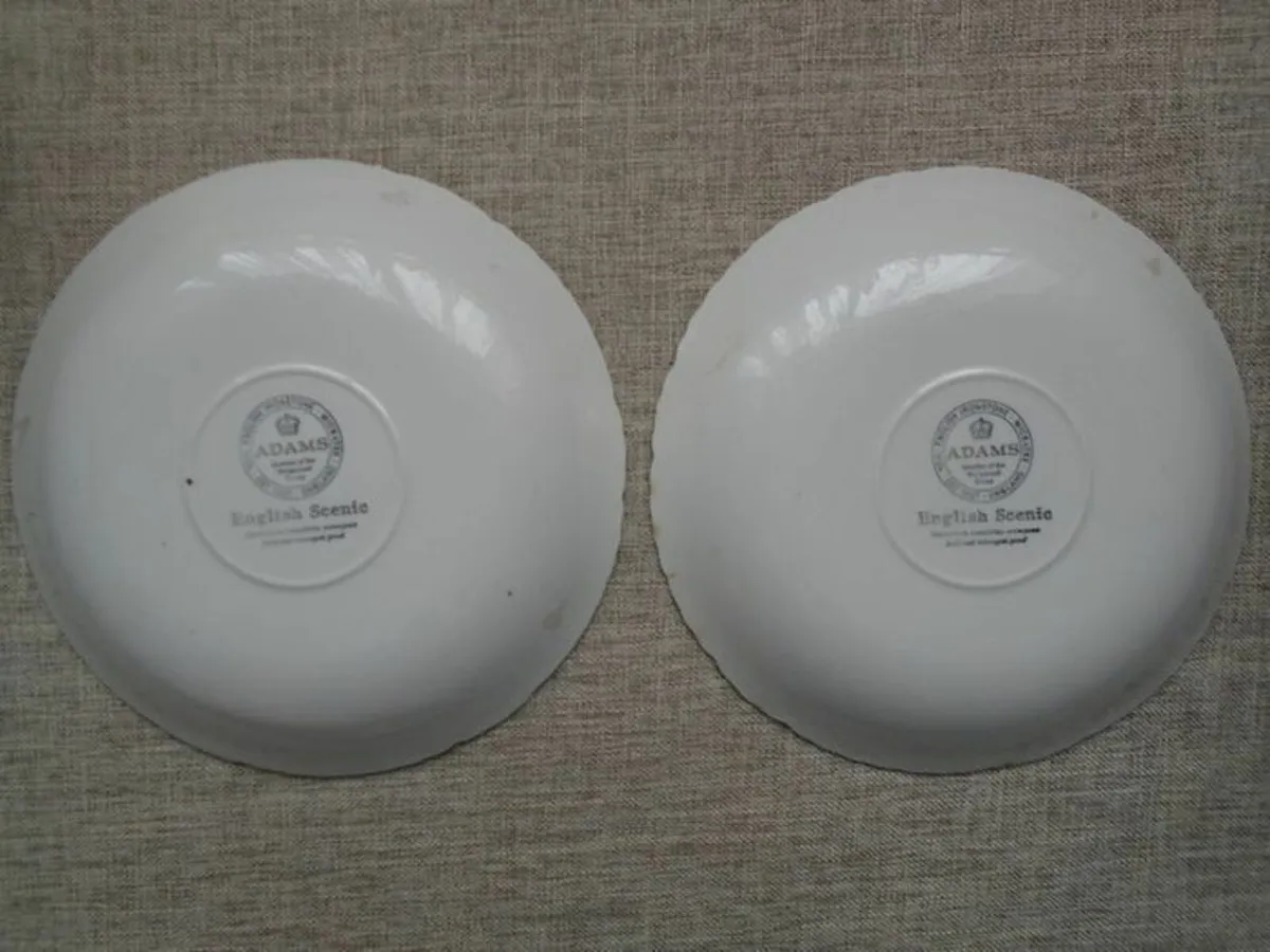 2 x Ironstone plates,Ceramics.Collectables - Image 2