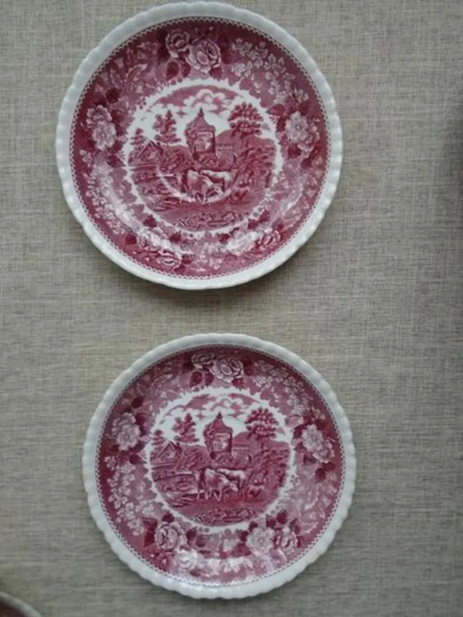 2 x Ironstone plates,Ceramics.Collectables - Image 1
