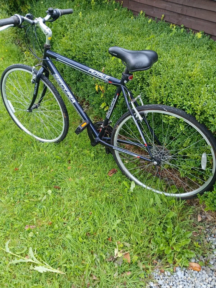 Gents Bike – Royale Secura