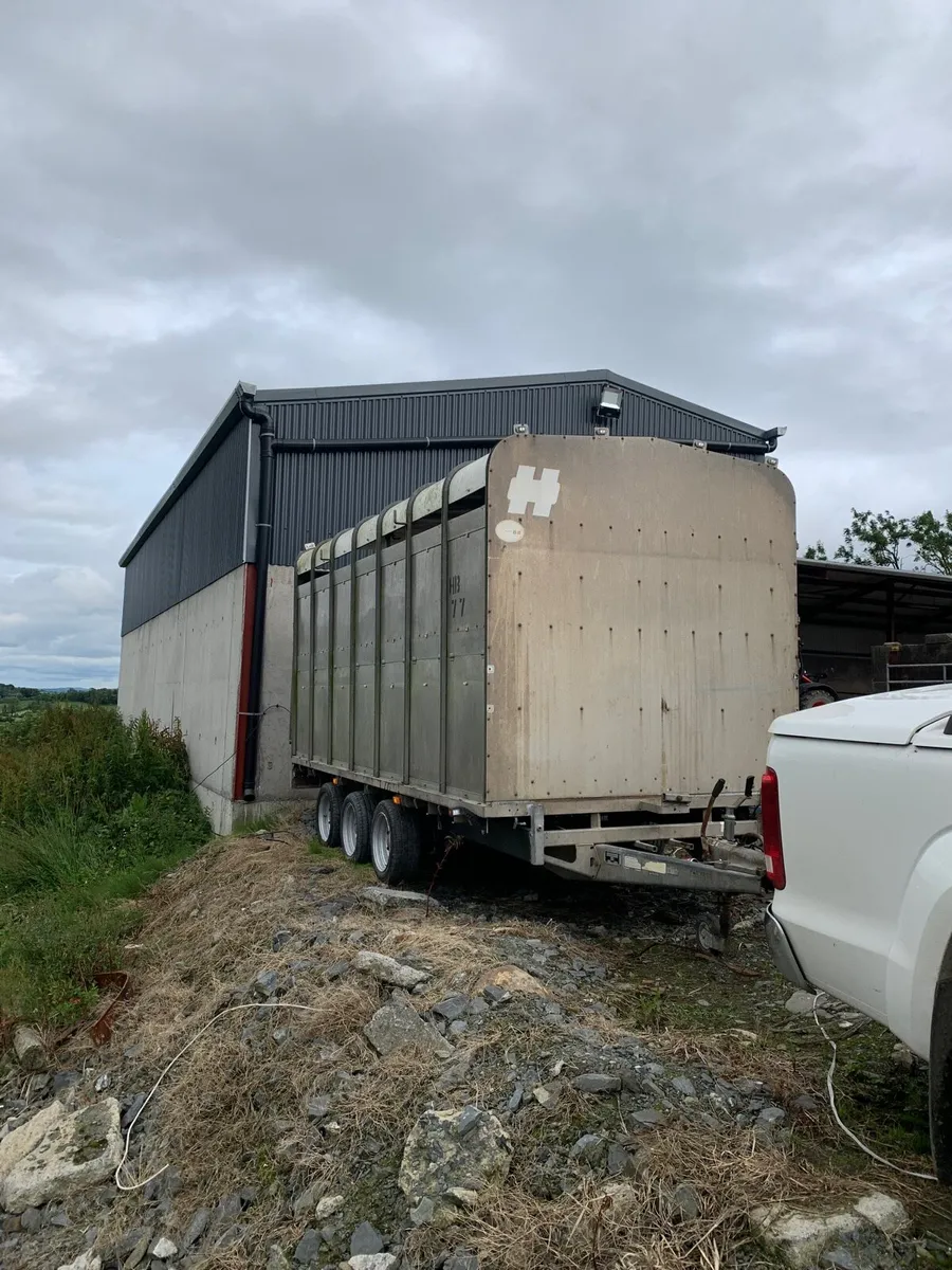 14ft cattle trailer - Image 1