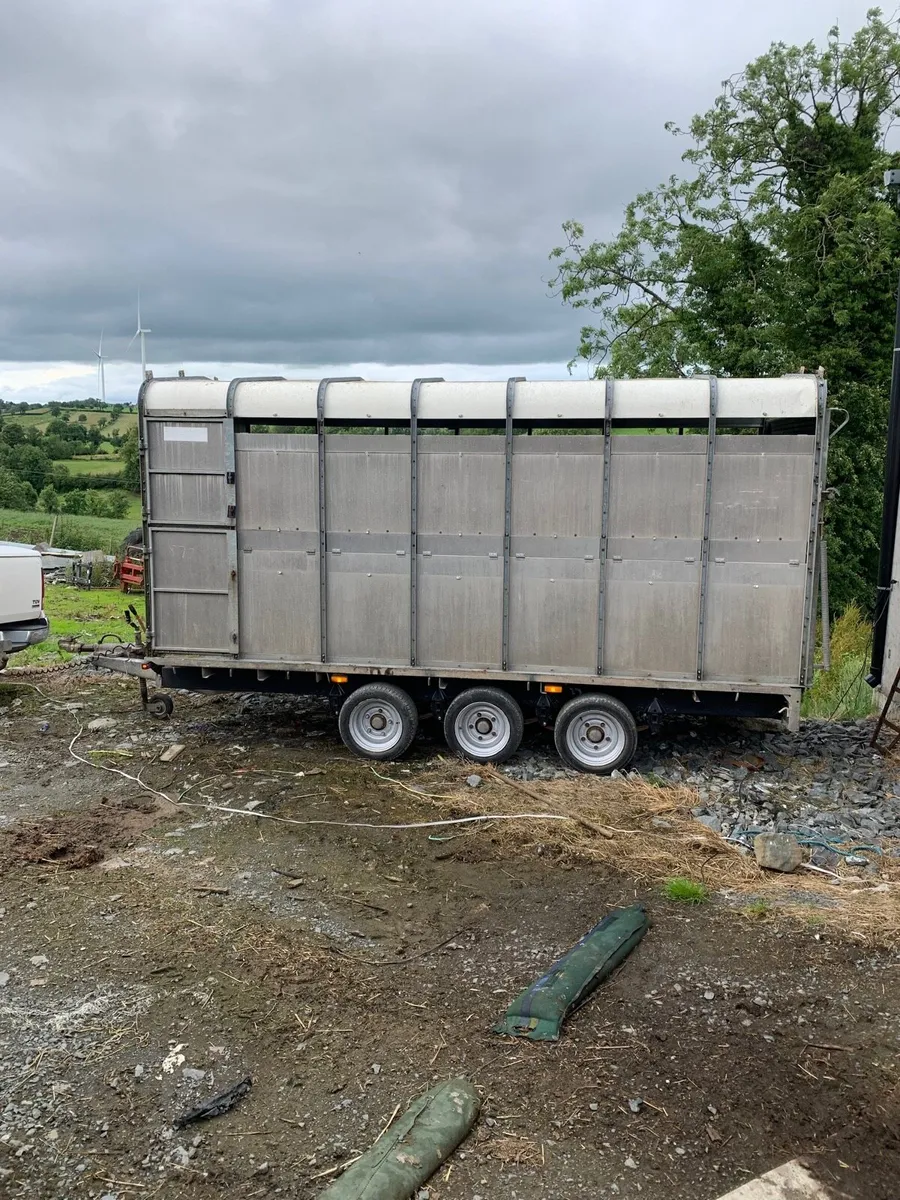 14ft cattle trailer - Image 2