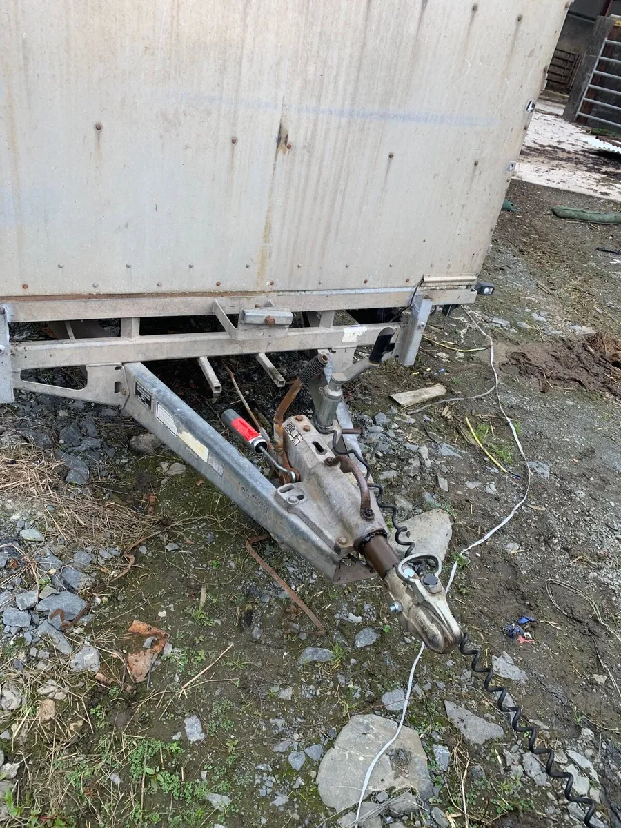 14ft cattle trailer - Image 3