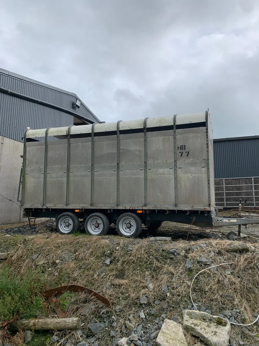 14ft cattle trailer - Image 4