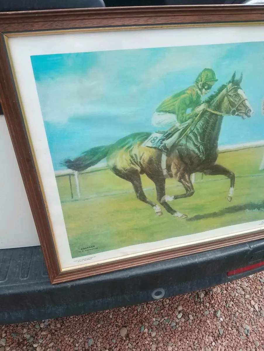 Shergar painting - Image 2