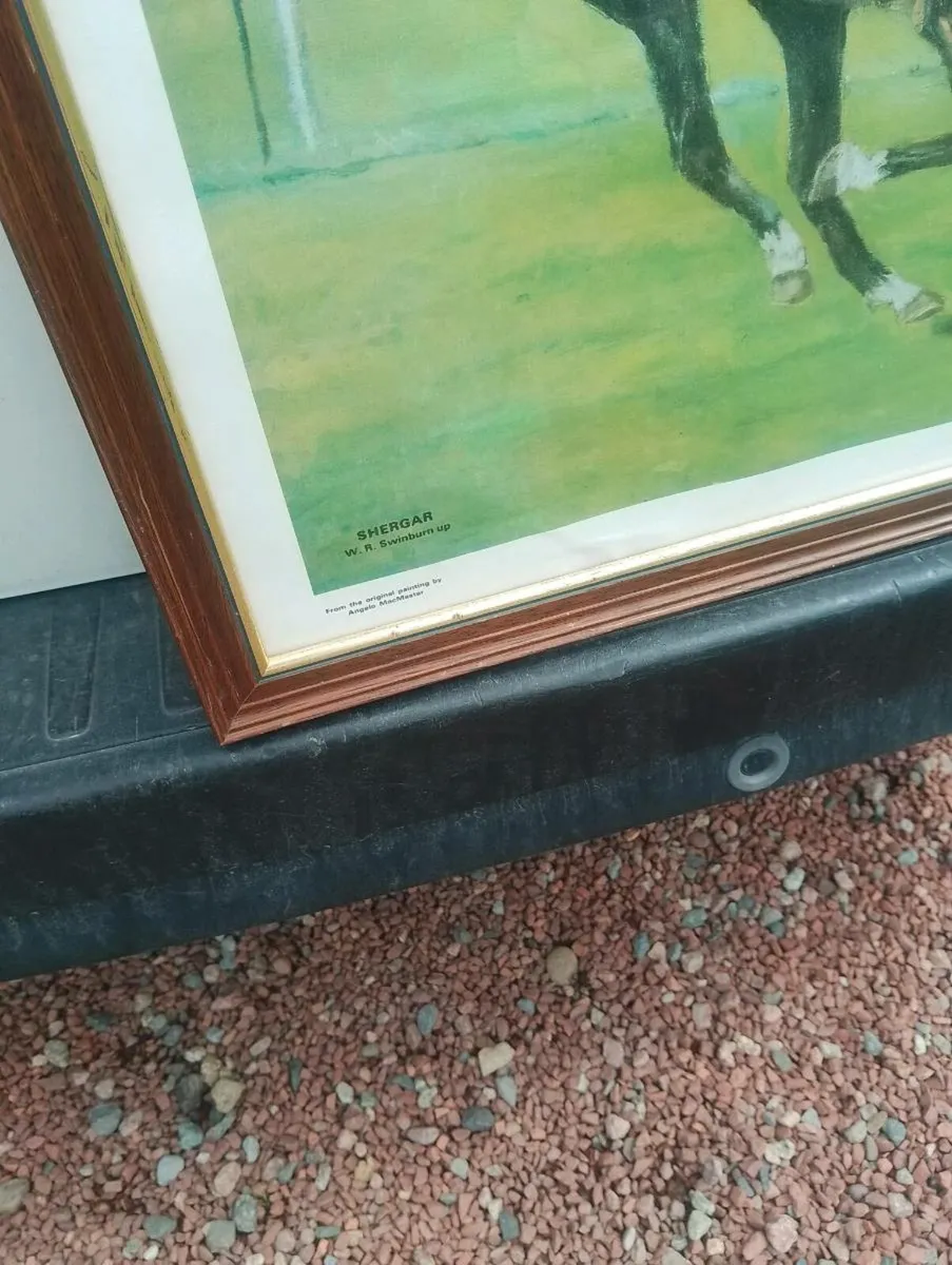 Shergar painting - Image 3