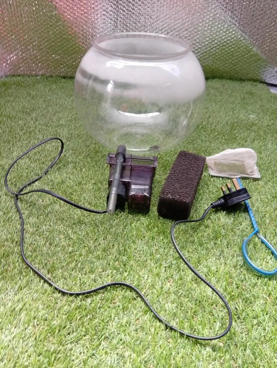 Universal Large bowl fish tank terrarium - Image 4