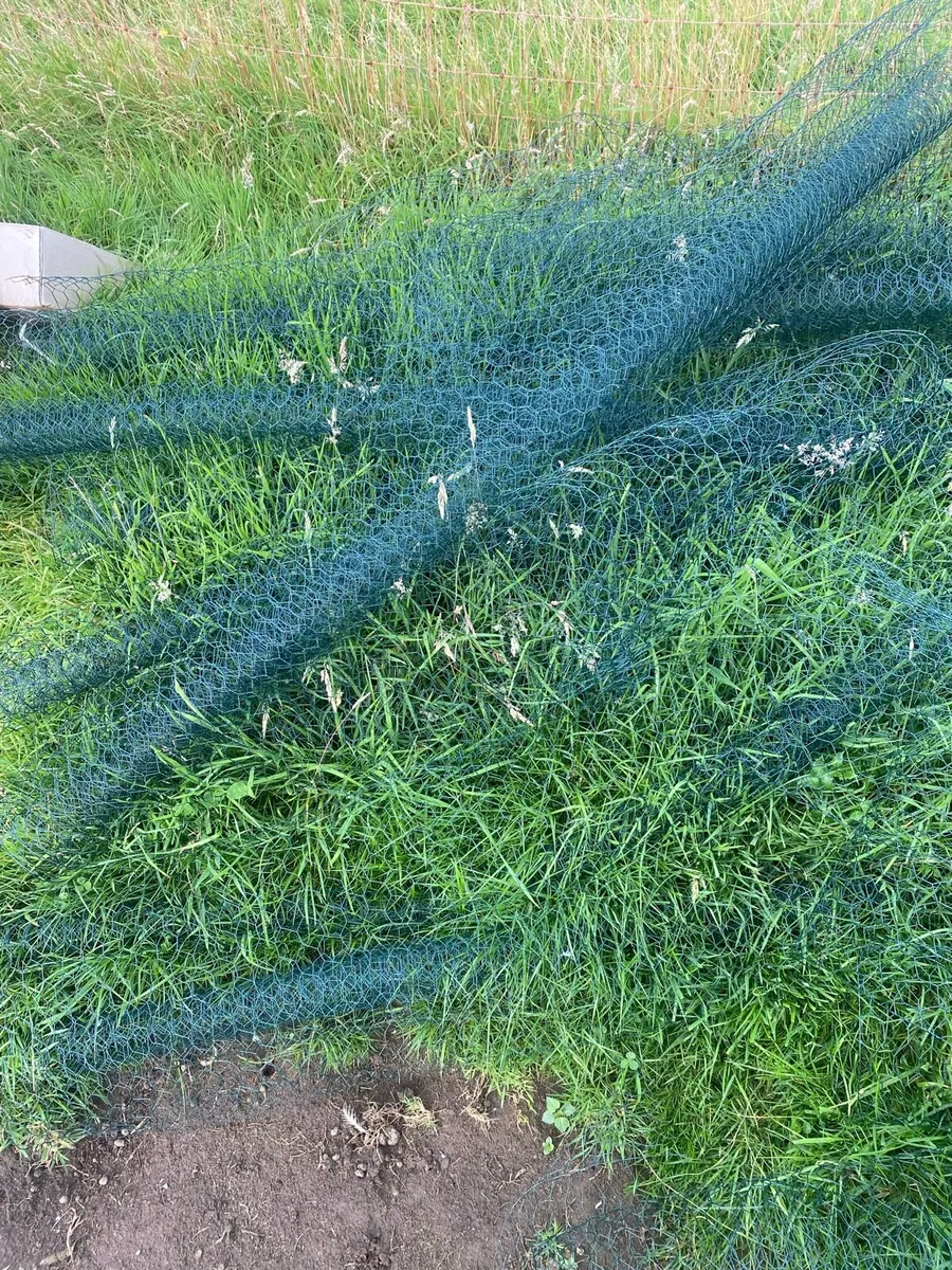 Poultry Wire - Image 1