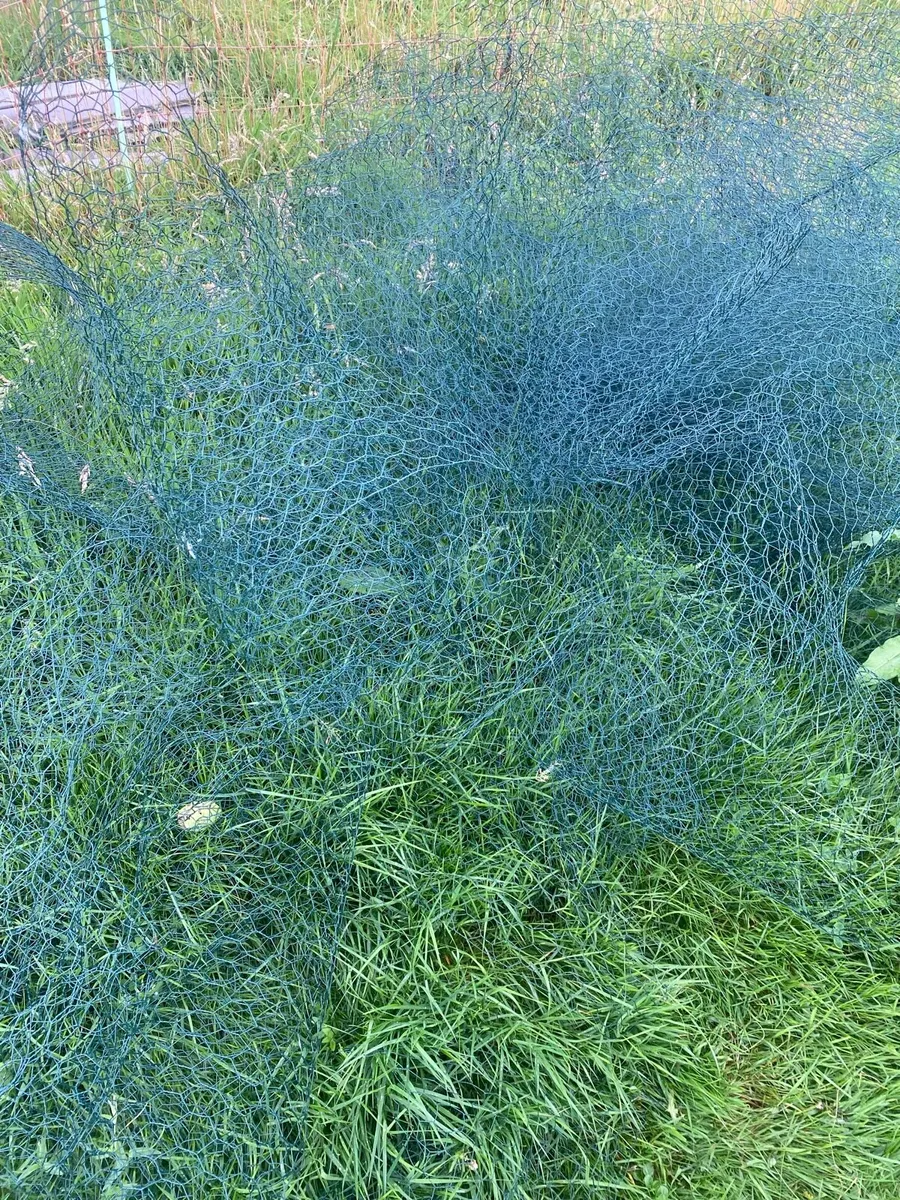 Poultry Wire - Image 2