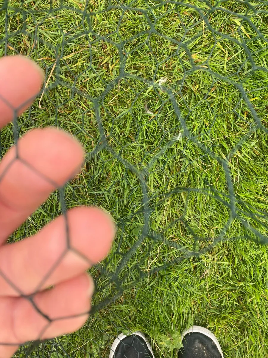 Poultry Wire - Image 3