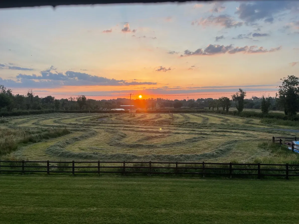 Plastic wrapped hay x30 - Image 1
